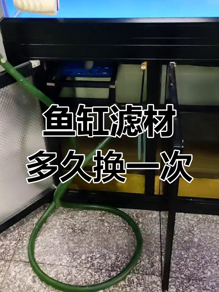 如何正确更换鱼缸过滤材料