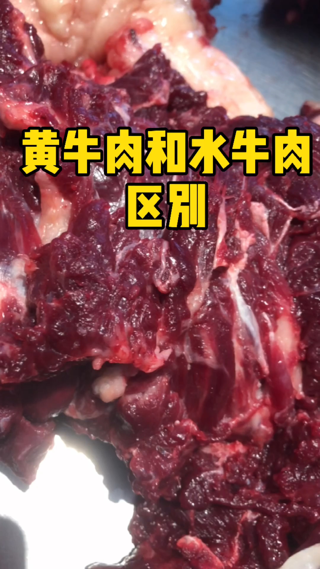 大家知道怎么分辨黄牛肉和水牛肉的区别吗?