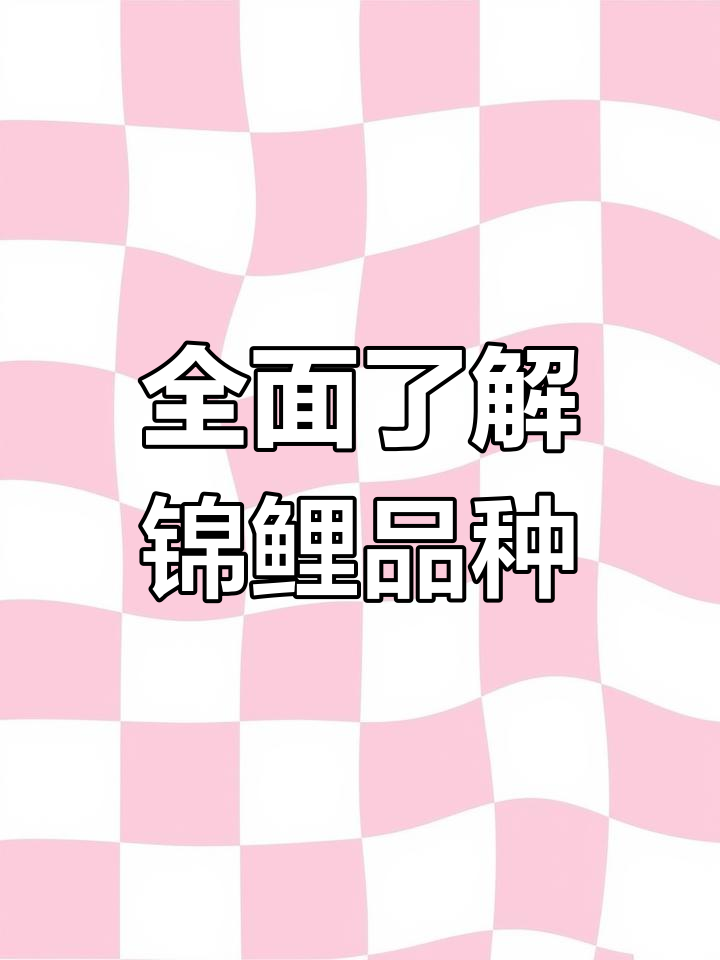 锦鲤品种大揭秘:从黑金到彩灰楼,你养过几种?