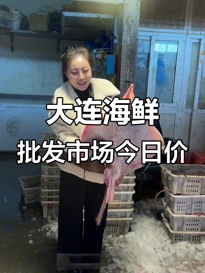 大连湾辽渔市场海鲜行情大揭秘，偏口、鲳鱼等热销品种价格一览