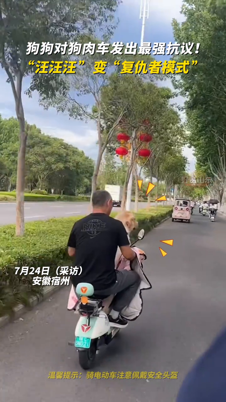 狗狗对狗肉车发出最强抗议!“汪汪汪”变“复仇者模式”