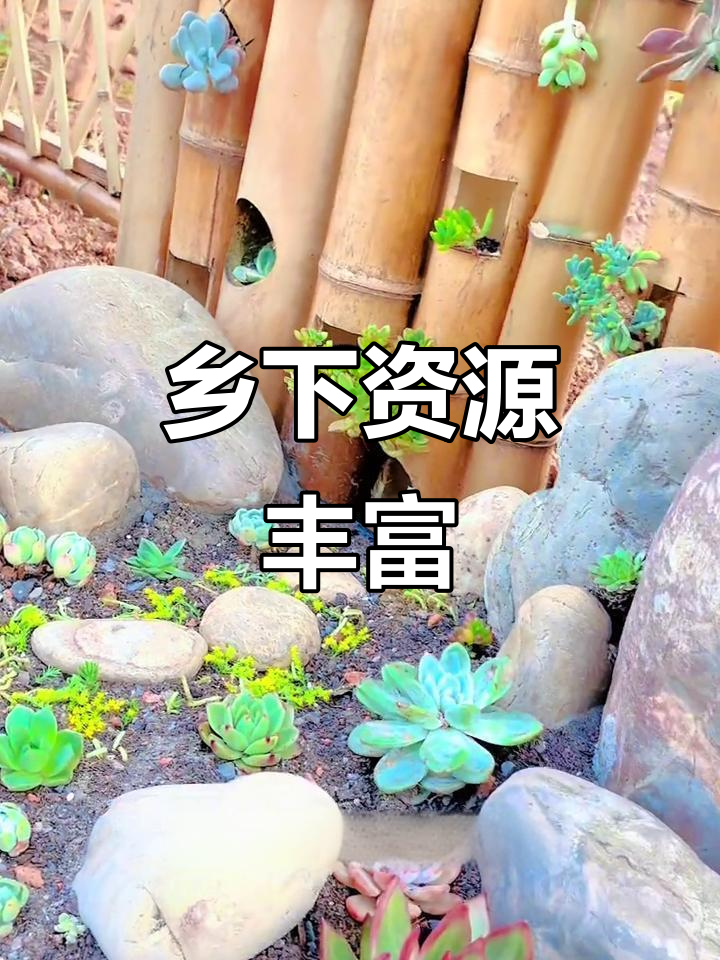 乡下的好处,鹅卵石随手可得,省下不少钱!