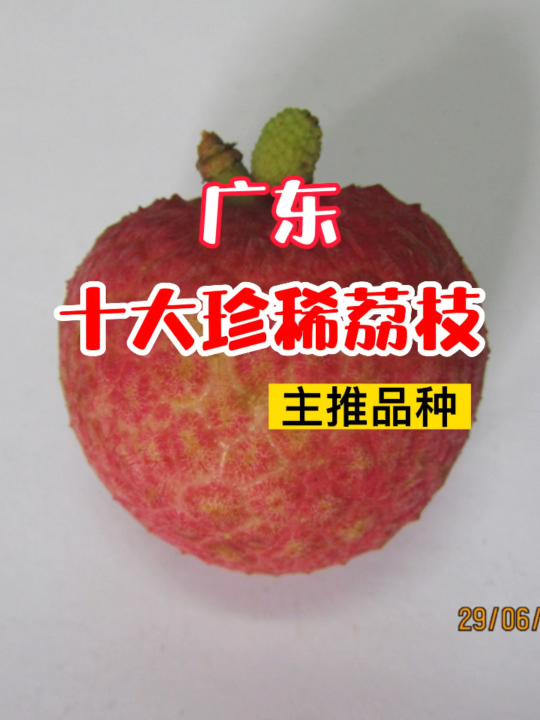 广东十大珍稀荔枝主推品种