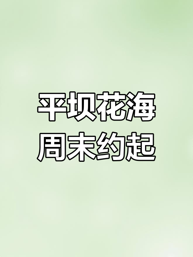 11月贵阳周边新网红打卡地,平坝花海惊艳来袭!