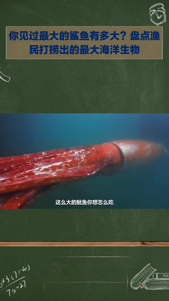 见过最大鲨鱼多大?盘点渔民捞出的最大海洋生物