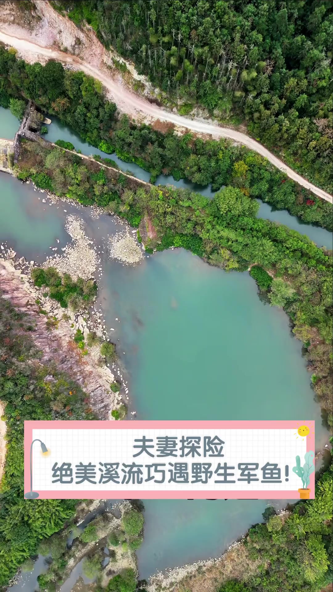 夫妻探险,绝美溪流巧遇野生军鱼!