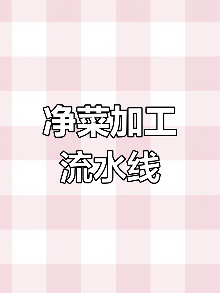 蔬菜深加工流水线,包菜清洗切段一气呵成