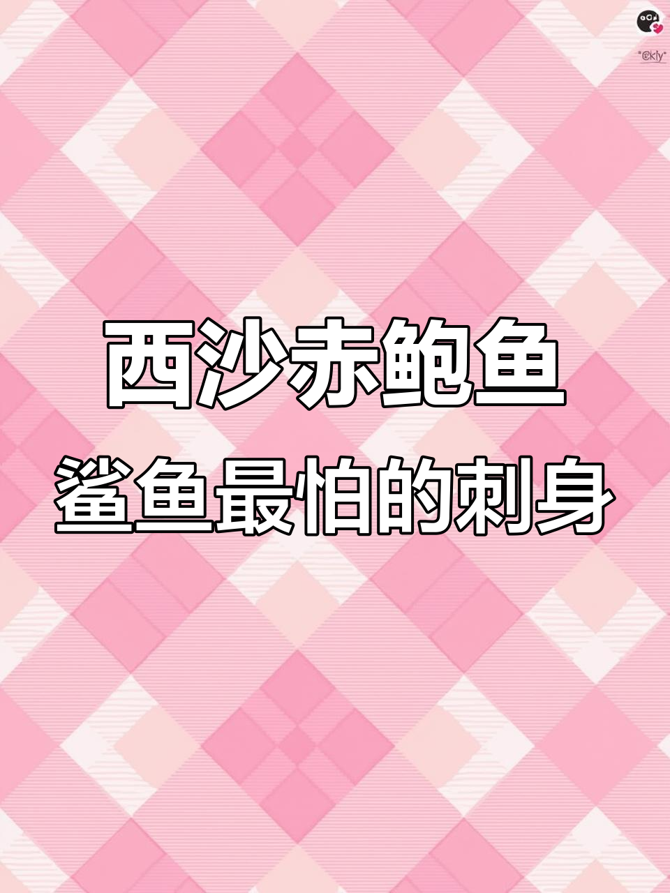 海南西沙特产赤鲍鱼,鲨鱼的天然克星
