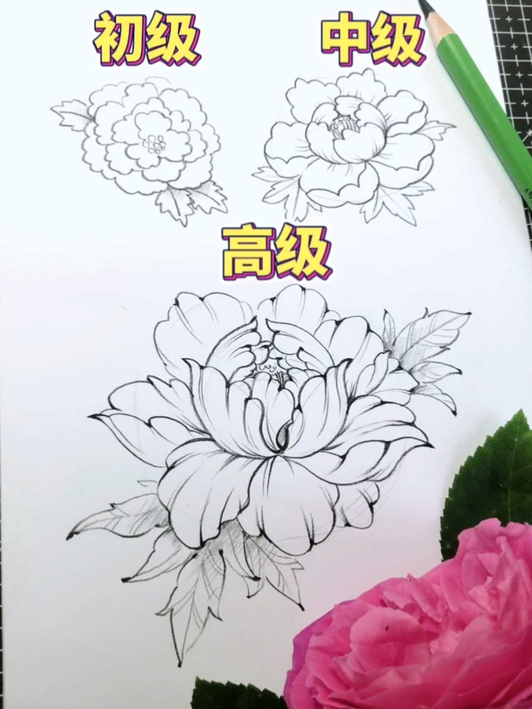 两分钟学会画牡丹花画法进阶版～