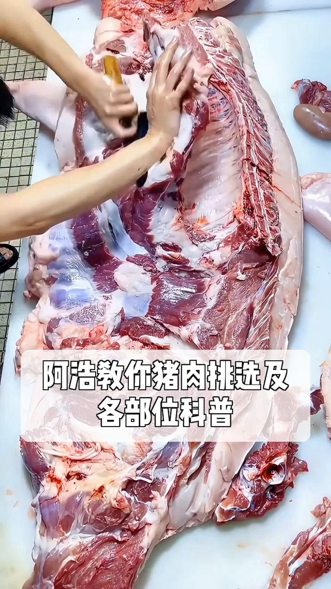 阿浩教你猪肉挑选及,各部位科普