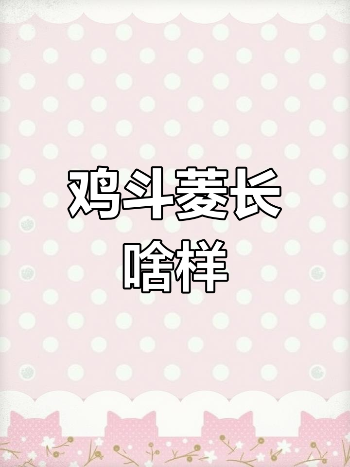 鸡斗菱的独特外貌,你见过吗?