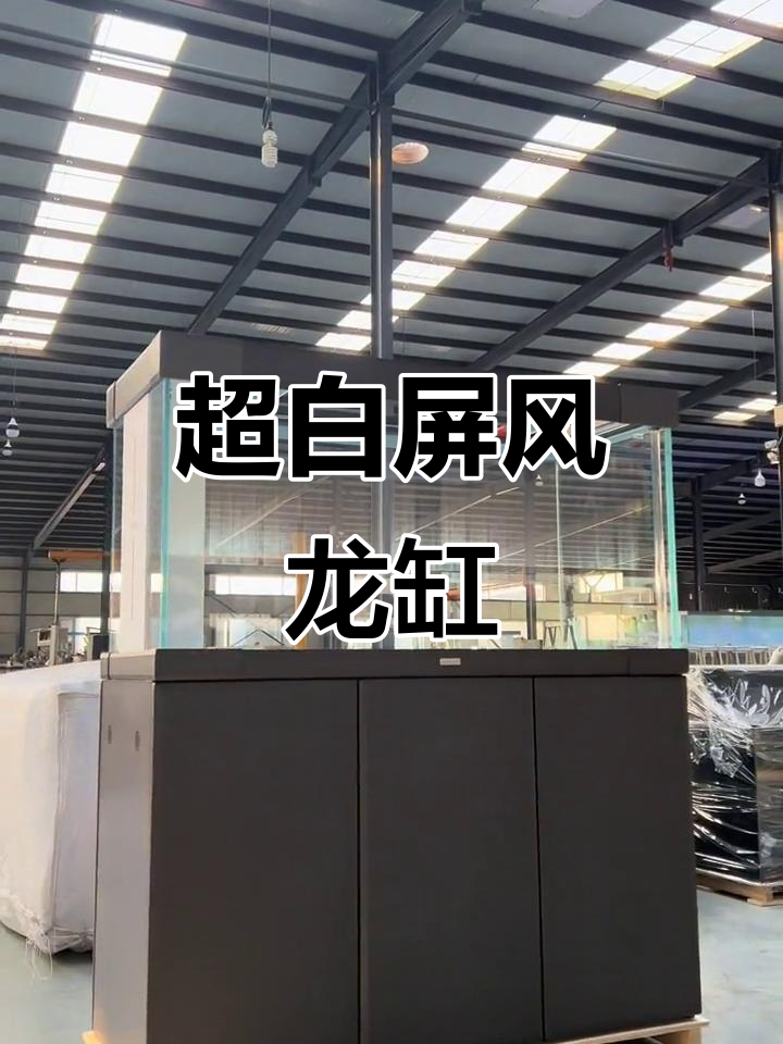 宝钻屏风龙缸1500×626,超白鱼缸设计细节全解析