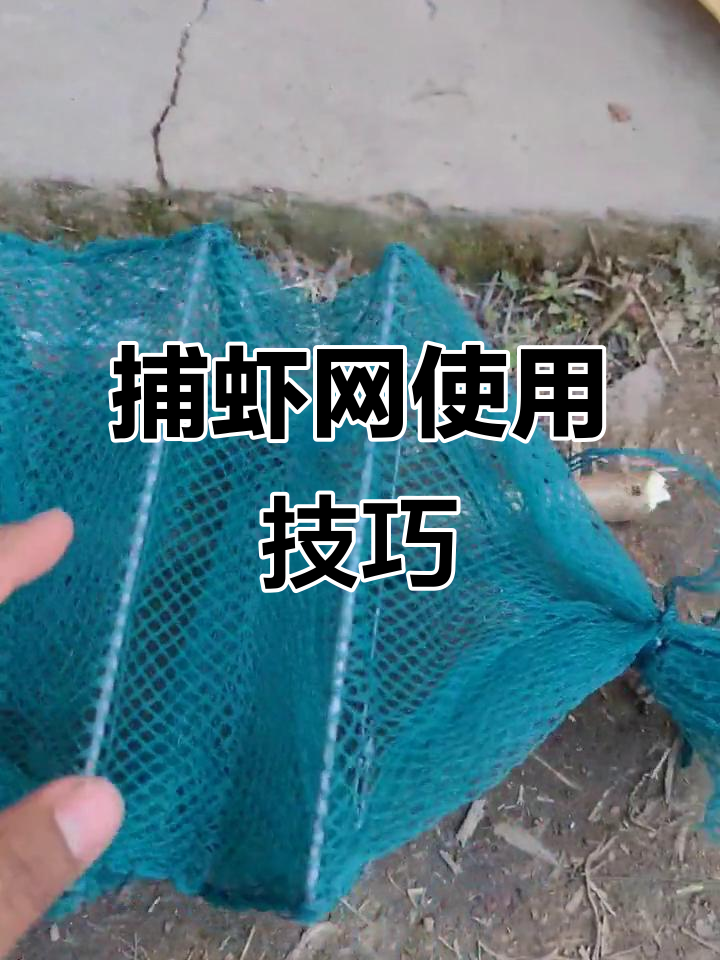 新网使用指南:如何处理捕虾网的细节,避免被偷