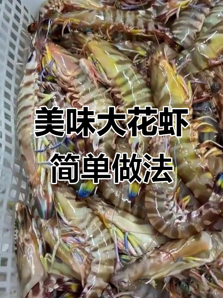 大花虾:海虾中的“爱马仕”,白灼最能体现鲜美