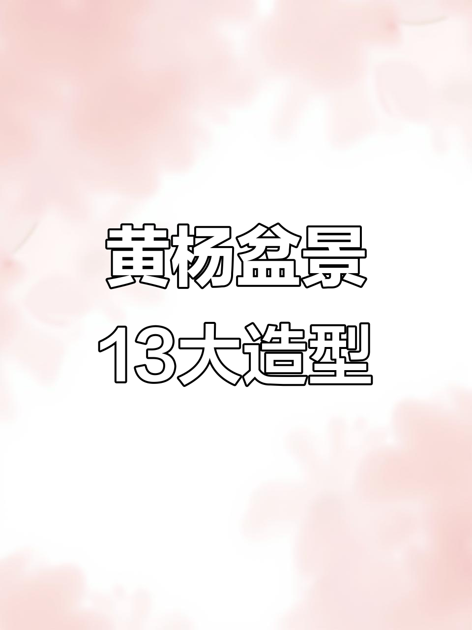 13种黄杨盆景造型图解,轻松掌握经典设计