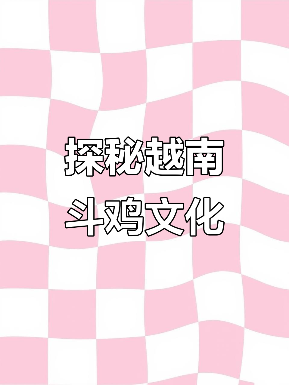 越南斗鸡秘籍大揭秘：甲翎与毒灵的秘密