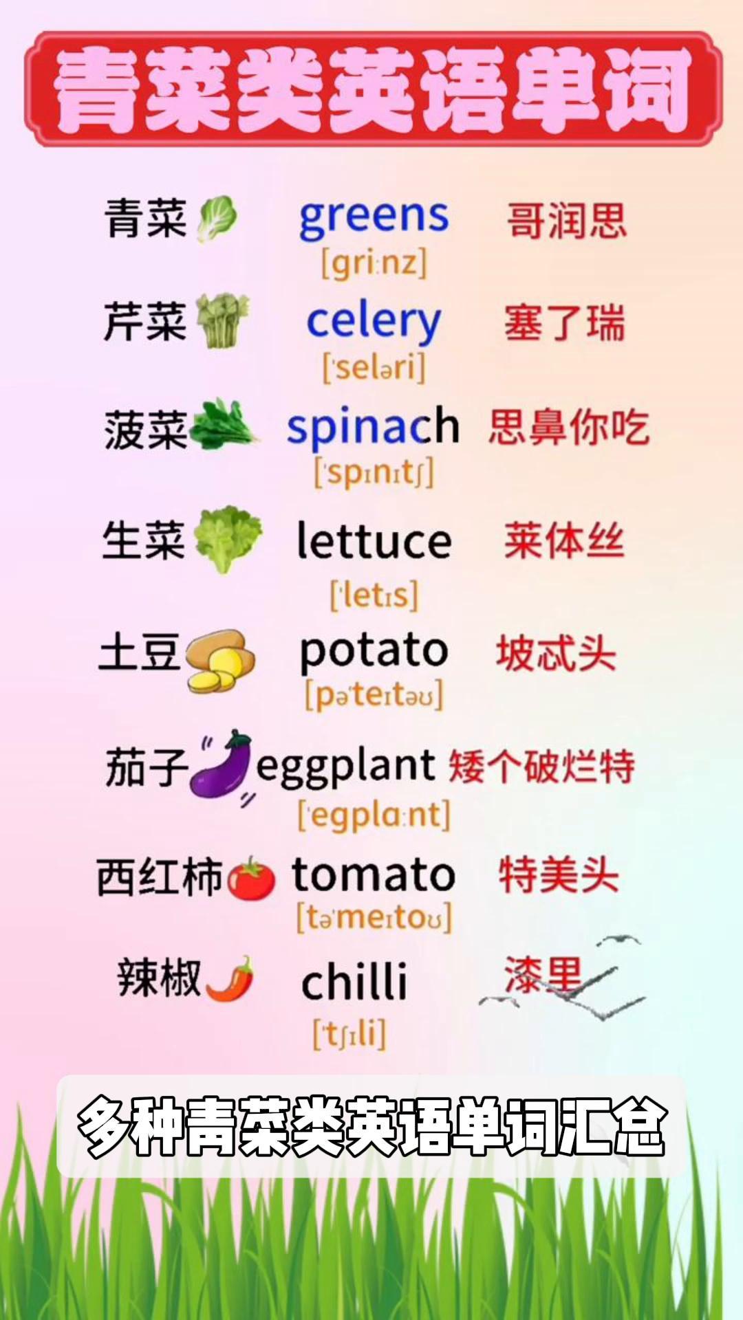 多种青菜类英语单词汇总