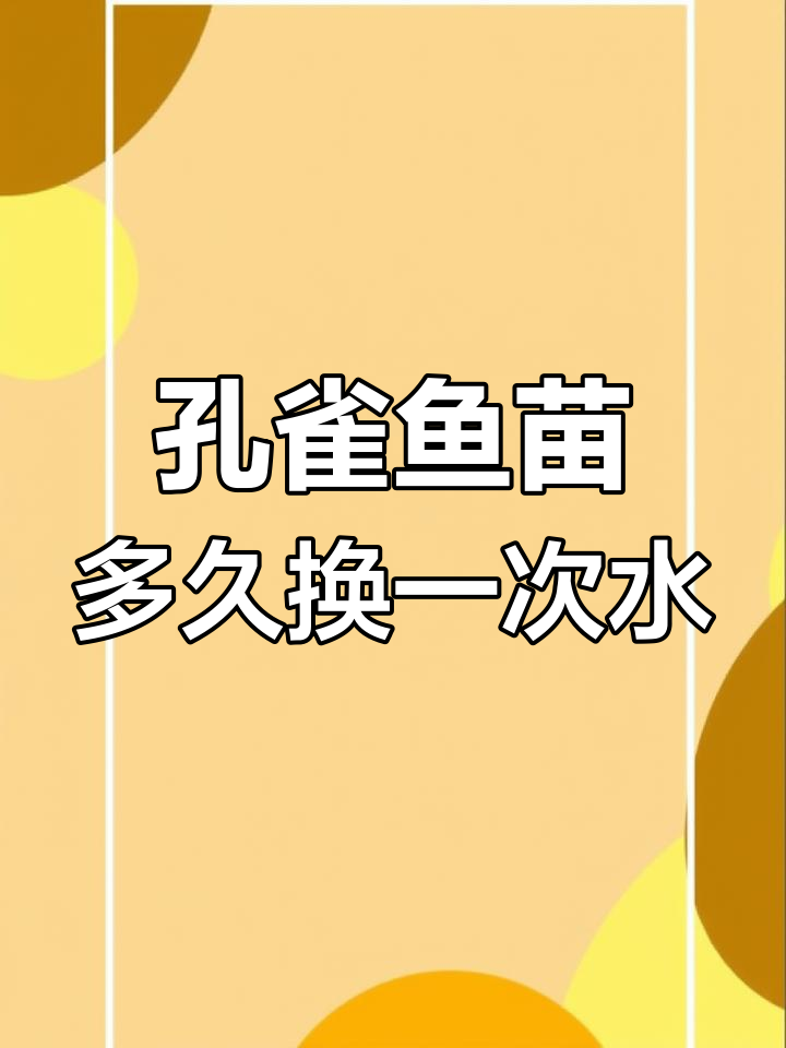 孔雀鱼苗换水频率大揭秘,如何根据实际情况调整?
