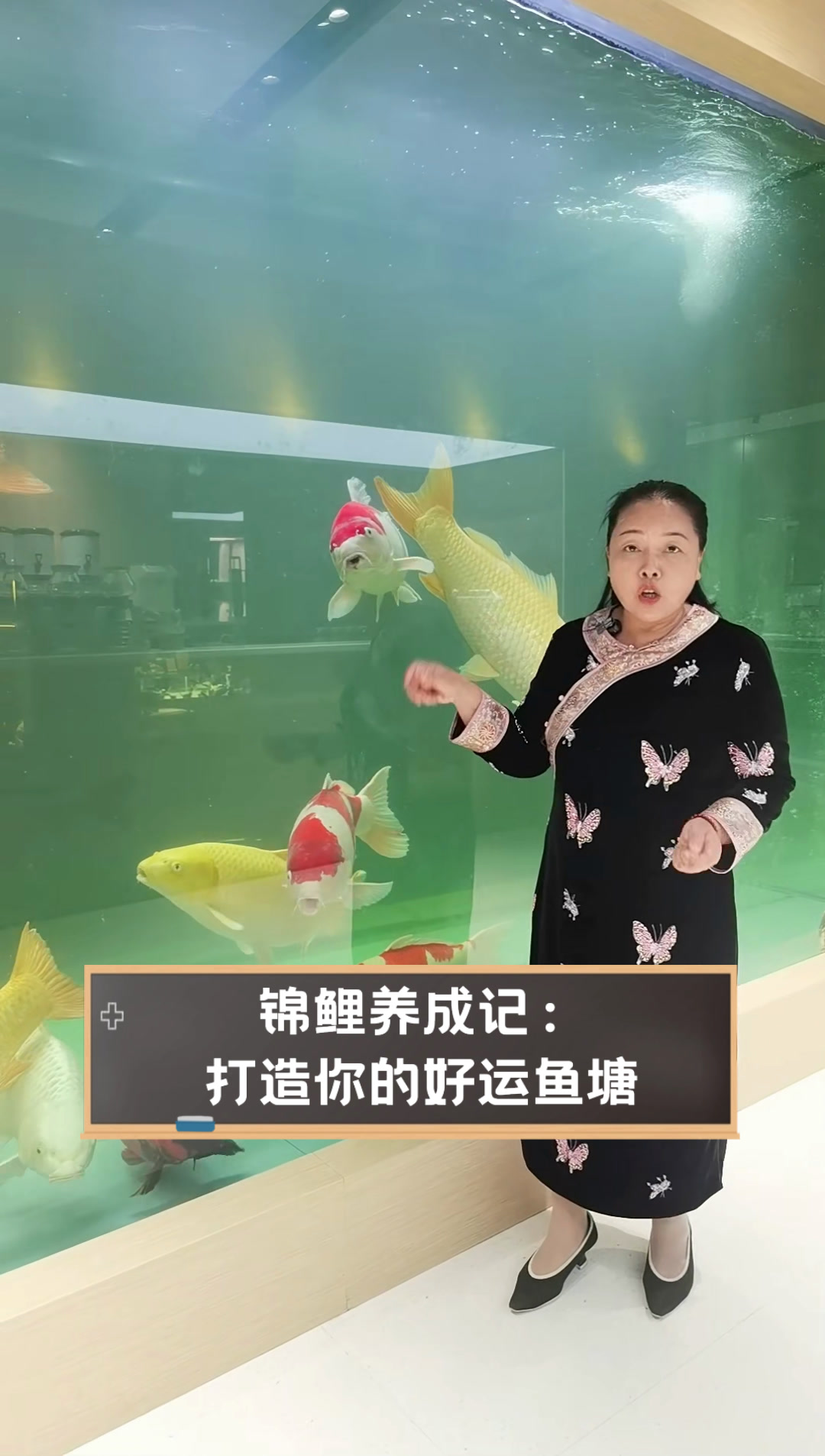 锦鲤养成记:打造你的好运鱼塘