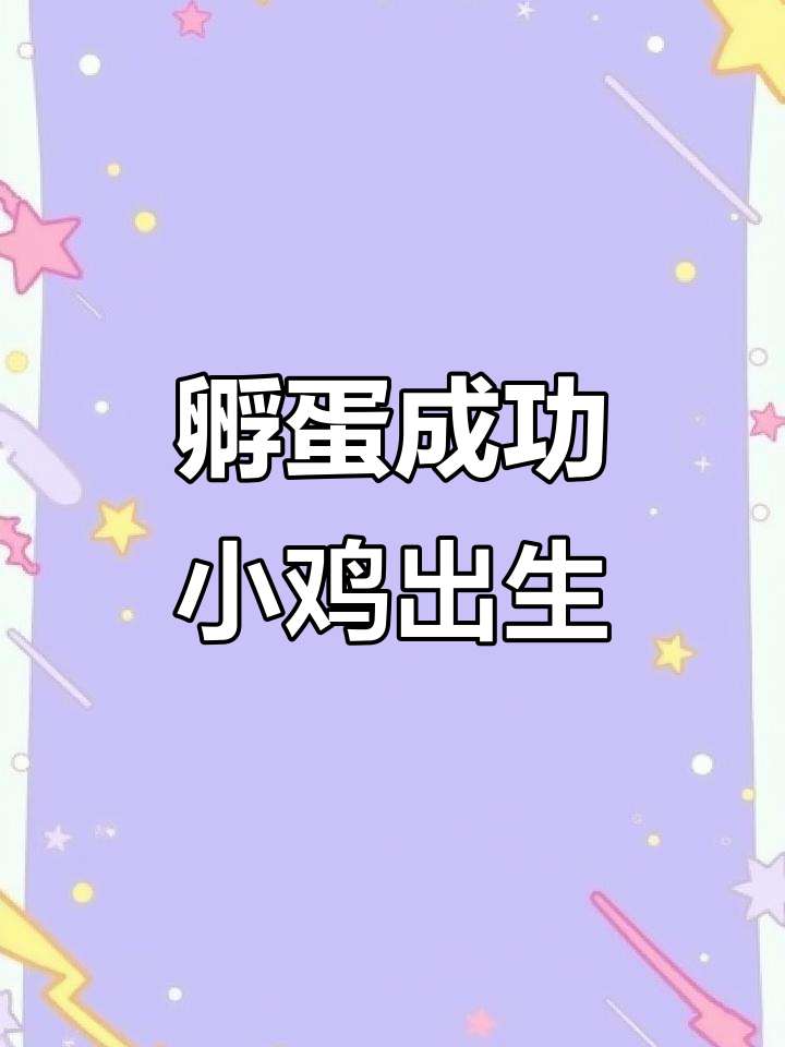 小鸡孵化全过程,金黄色小生命诞生!