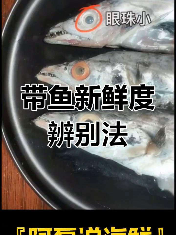如何判断带鱼的新鲜程度
