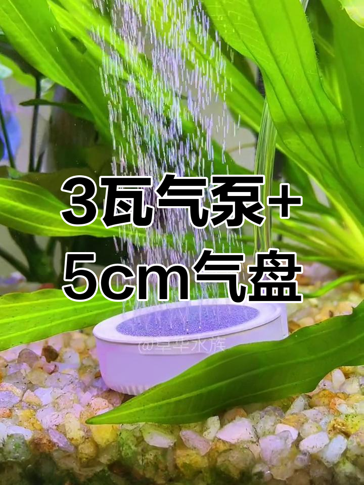 60厘米鱼缸静音气泵选择指南