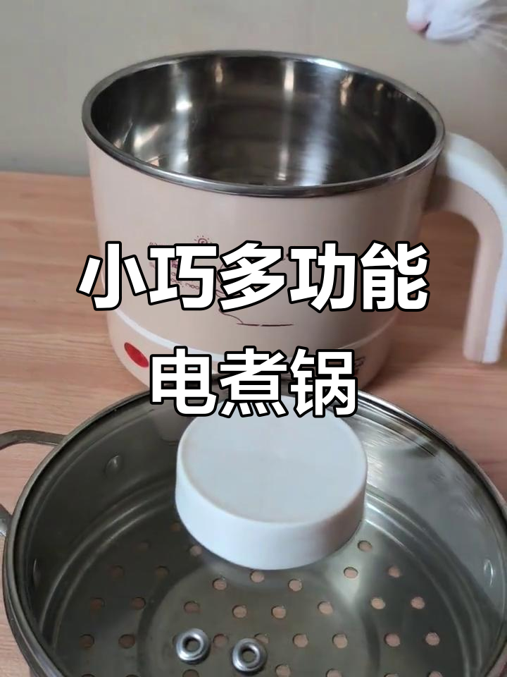 304不锈钢内胆迷你电煮锅,蒸煎炒全能小家电