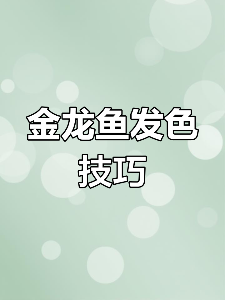 如何让金龙鱼快速发色？营养与食物搭配全攻略