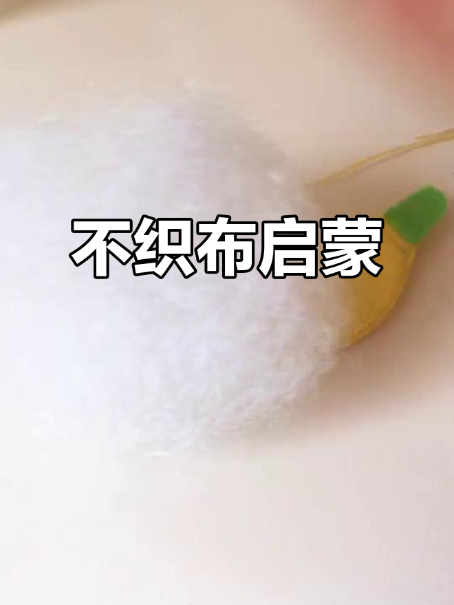 女儿通过不织布认识了蔬果和小动物,超有趣!