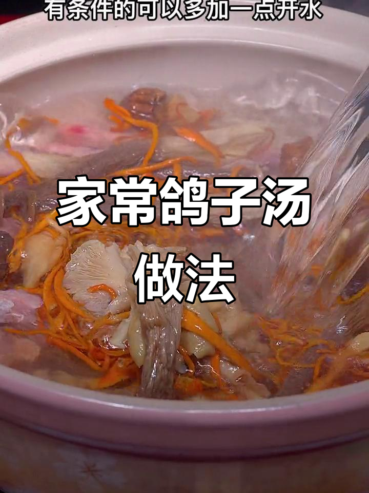鸽子汤这样做,鲜美不腥,砂锅炖出满满香气