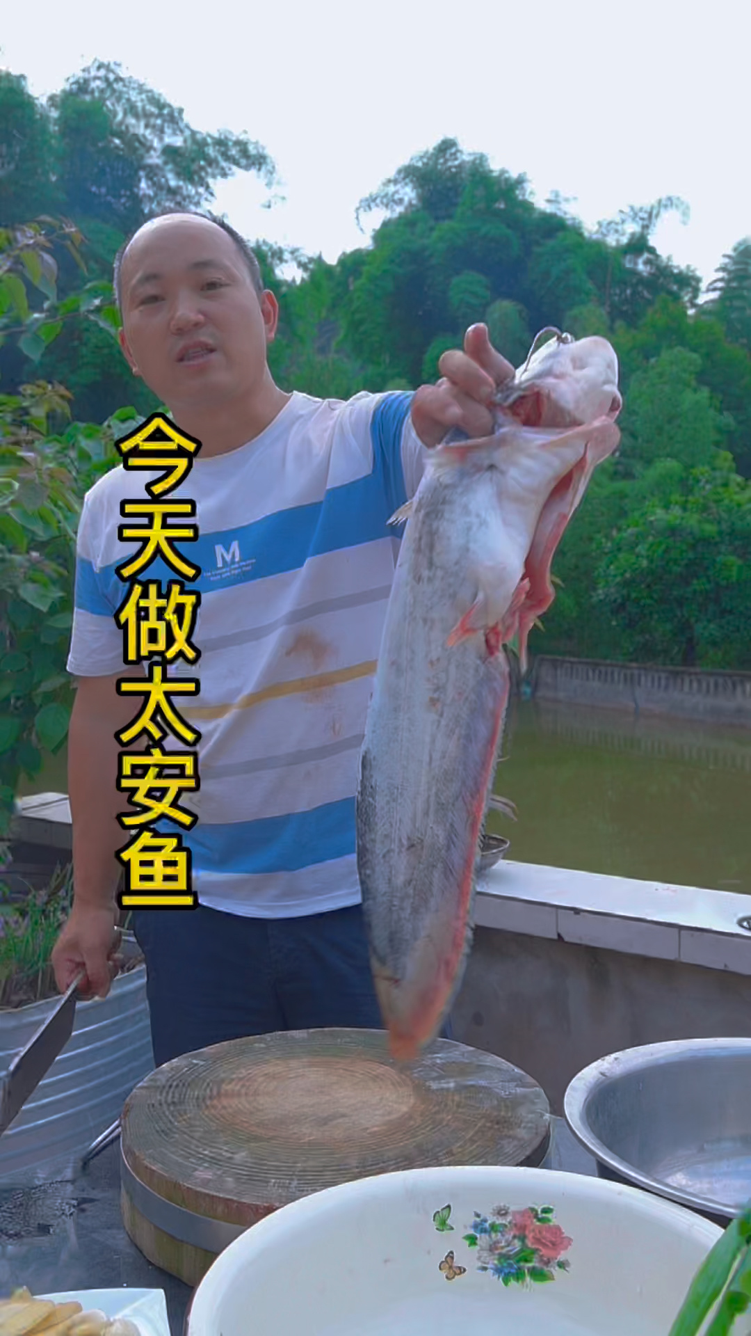 太安鱼简单而正确的做法!