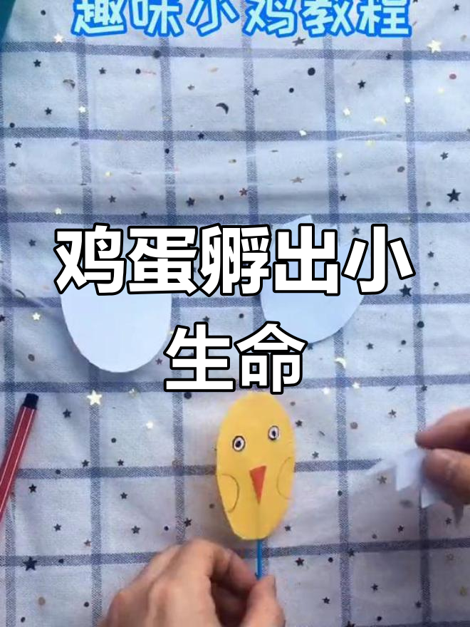 立夏来临,揭秘鸡蛋变小鸡的奇妙过程!