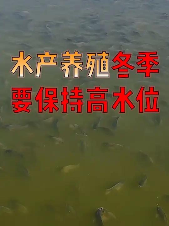 水产人 速看!水产养殖 冬季水位还是要深一点为好!水产养殖技术 水产