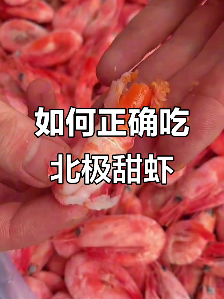 北极甜虾的正确吃法,轻松去壳剥出完美口感