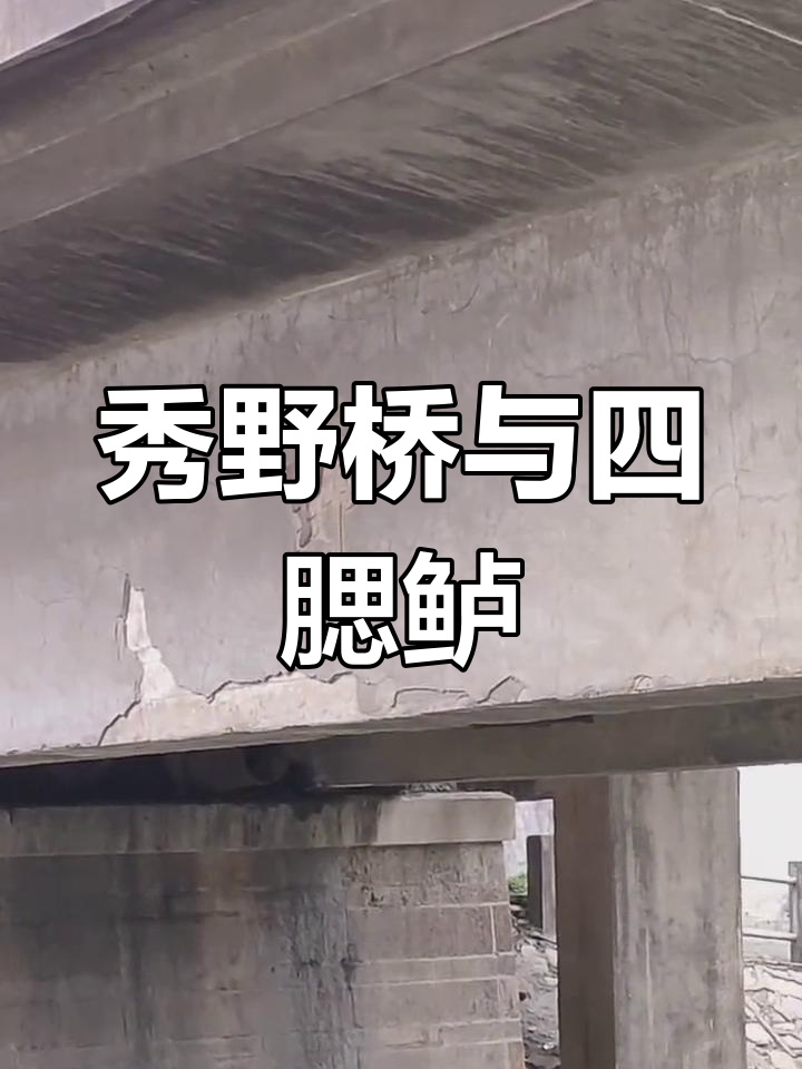 松江秀野桥见证四腮鲈鱼的消失,古桥依旧但鱼已难寻