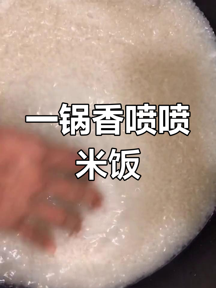 蒸米饭的完美做法