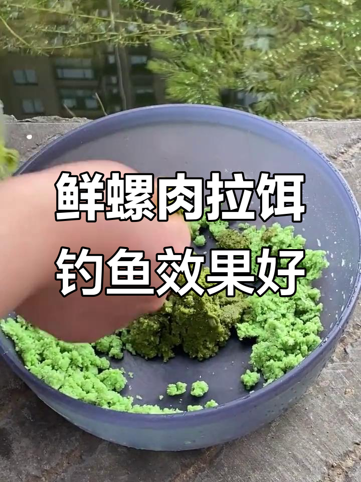 螺肉钓饵诱鱼迅速,鲫鲤草鳊都能轻松搞定