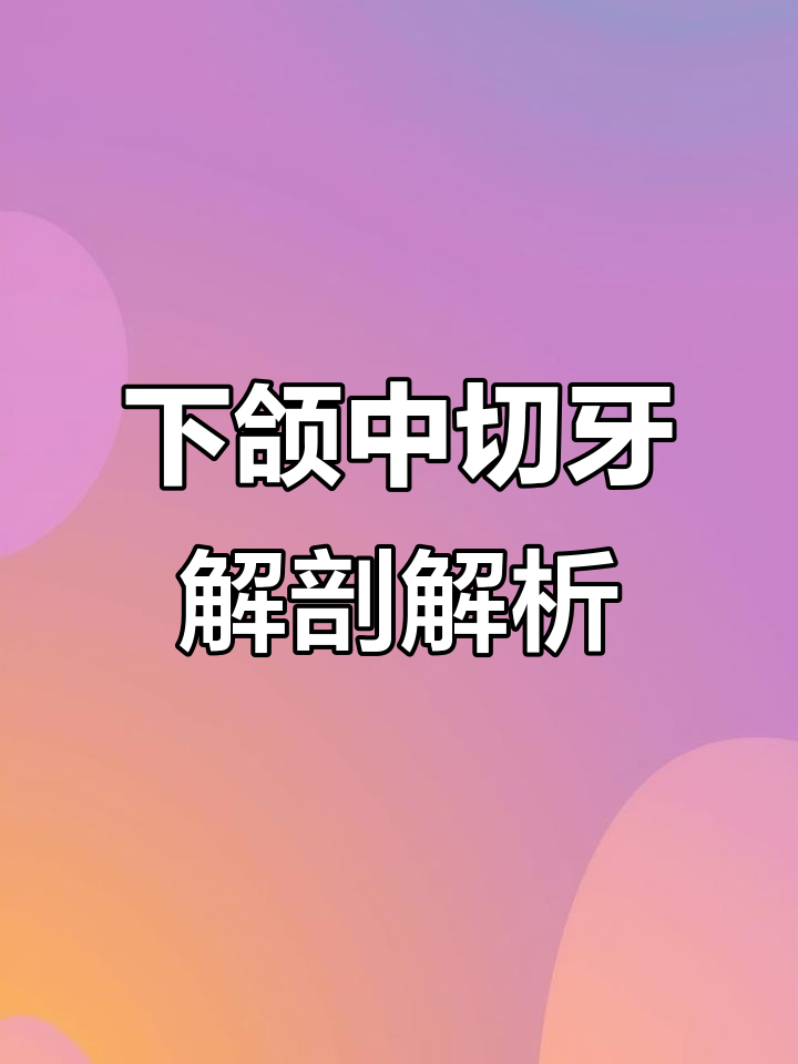 了解下颌中切牙解剖形态,掌握关键结构细节