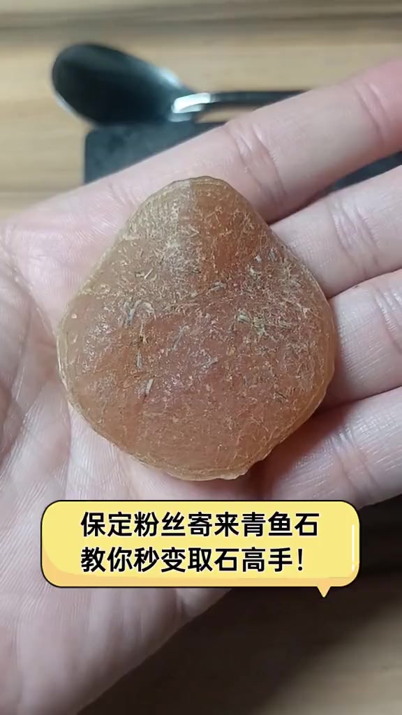保定粉丝寄来青鱼石,教你秒变取石高手!