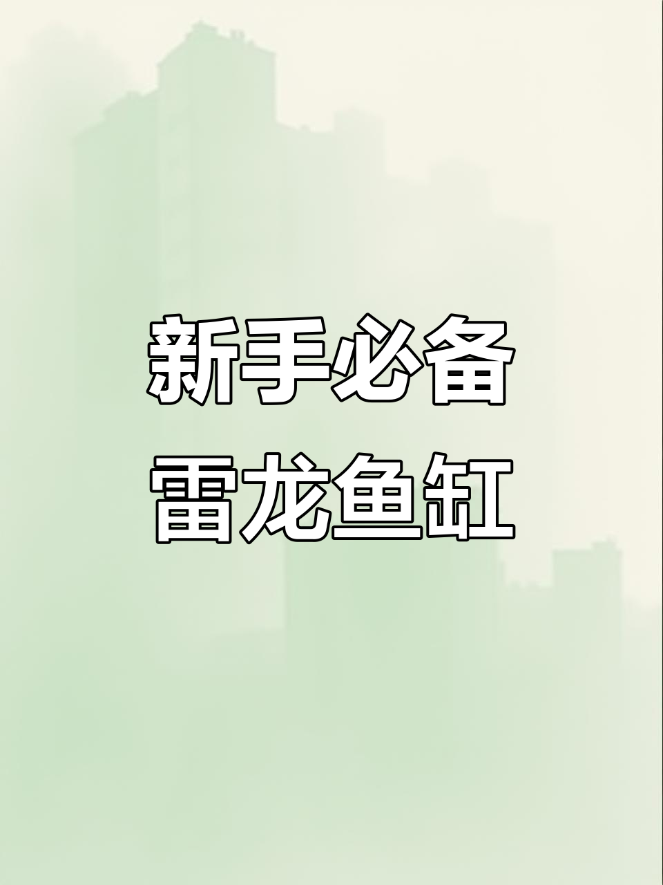 简单雷龙鱼缸造景,适合新手入门