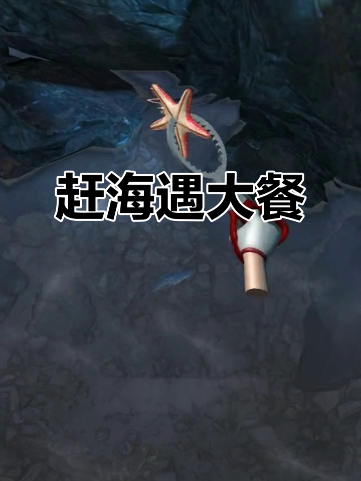 学生党必看!赶海王意外捕获大龙虾和帝王蟹,清蒸美味等着尝