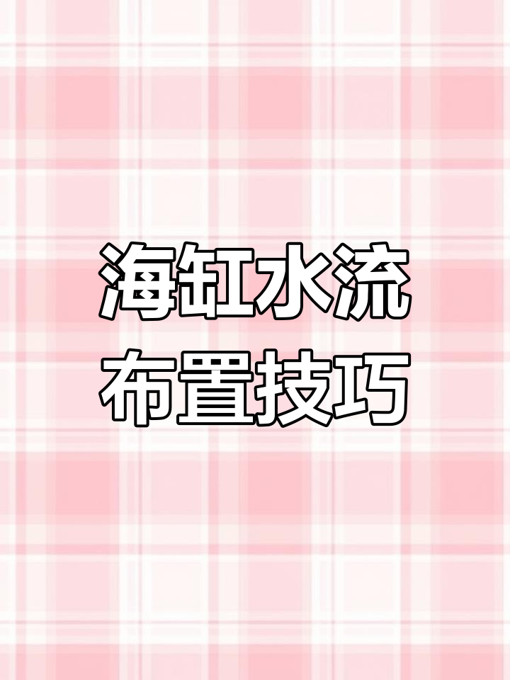 海缸造浪泵布局解析:如何满足不同珊瑚的水流需求