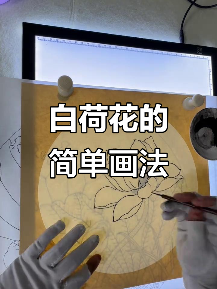 轻松学工笔画白荷花,勾线技巧全解析