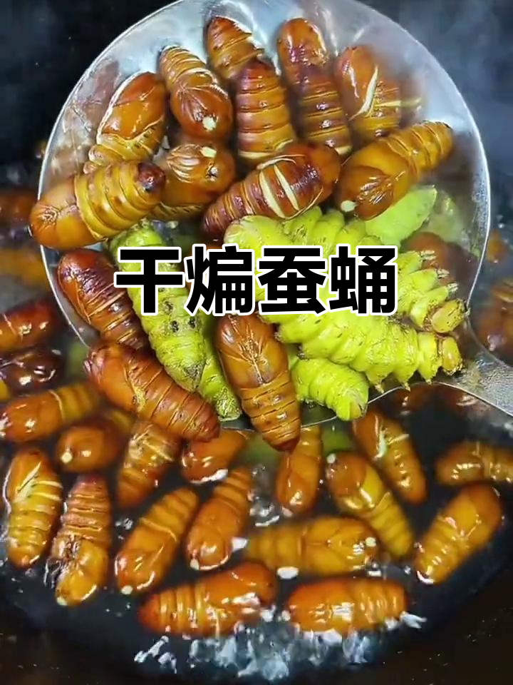 东北干煸蚕蛹，下酒必备硬菜！