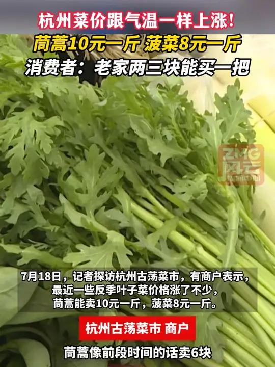 杭州菜价跟气温一样上涨！茼蒿10元一斤，菠菜8元一斤，消费者：老家两三块能买一把