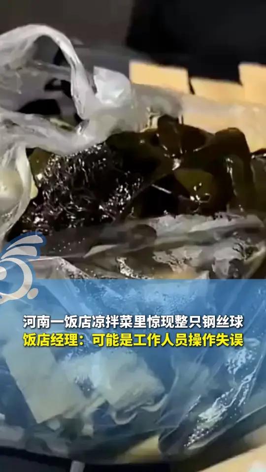 河南一饭店凉拌菜里惊现整只钢丝球,饭店经理称可能是工作人员操作失误,已联系顾客道歉并赠送了