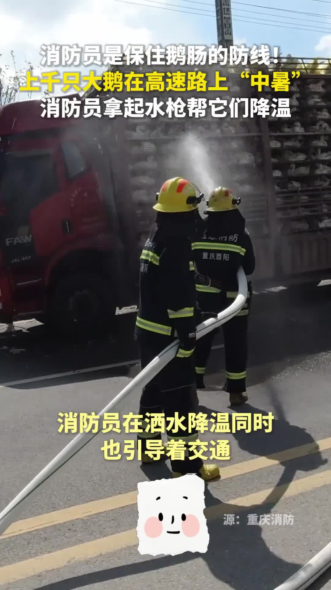 10月19日,重庆。消防员是保住鹅肠的防线!上千只大鹅在高速路上“中暑”,消防员拿起水枪帮