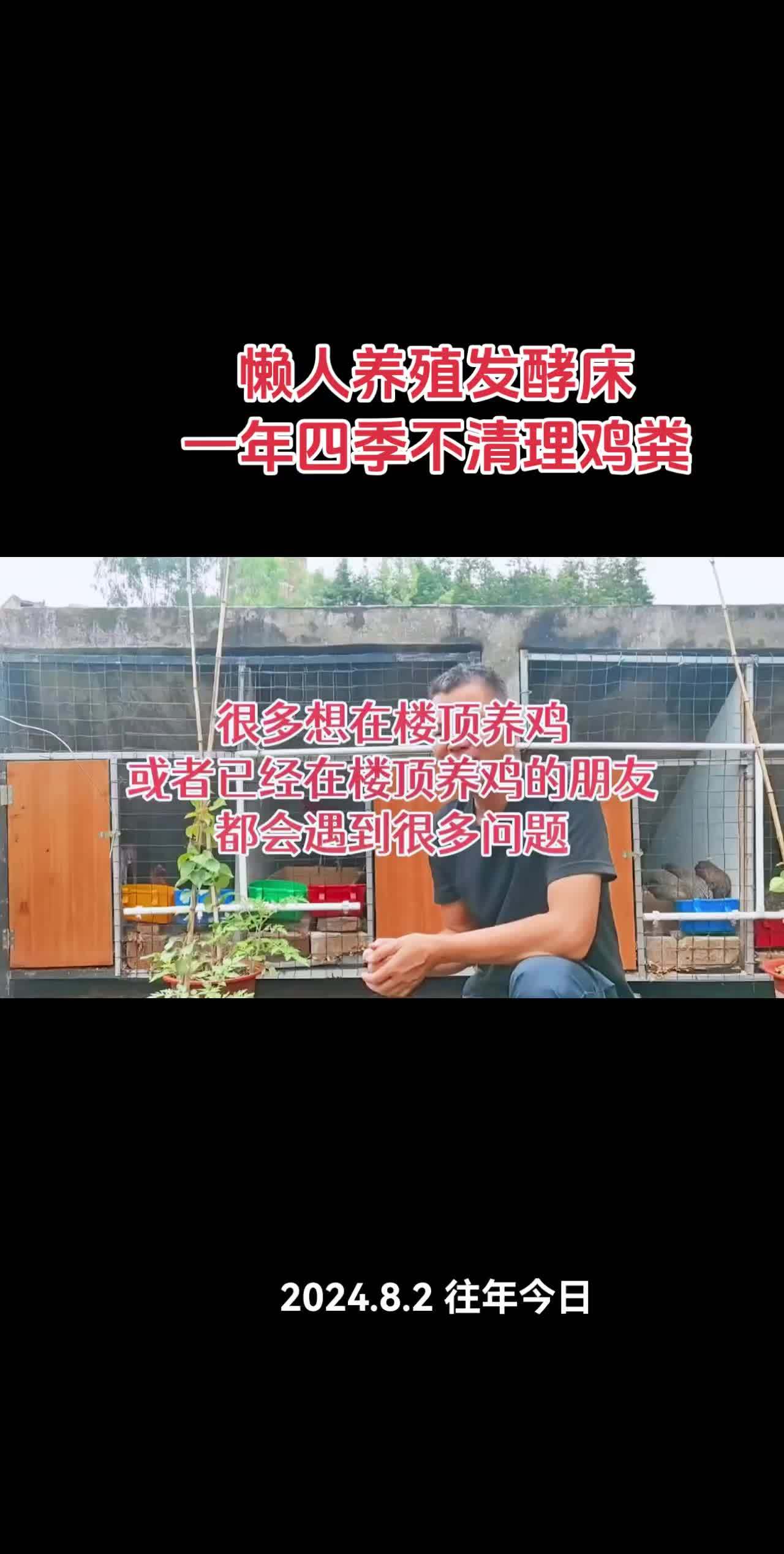 养殖 养鸡 鸡鸭鹅养殖 农村散养土鸡 发酵床 懒人养殖发酵床制作菌种,一年四季都不用清理鸡