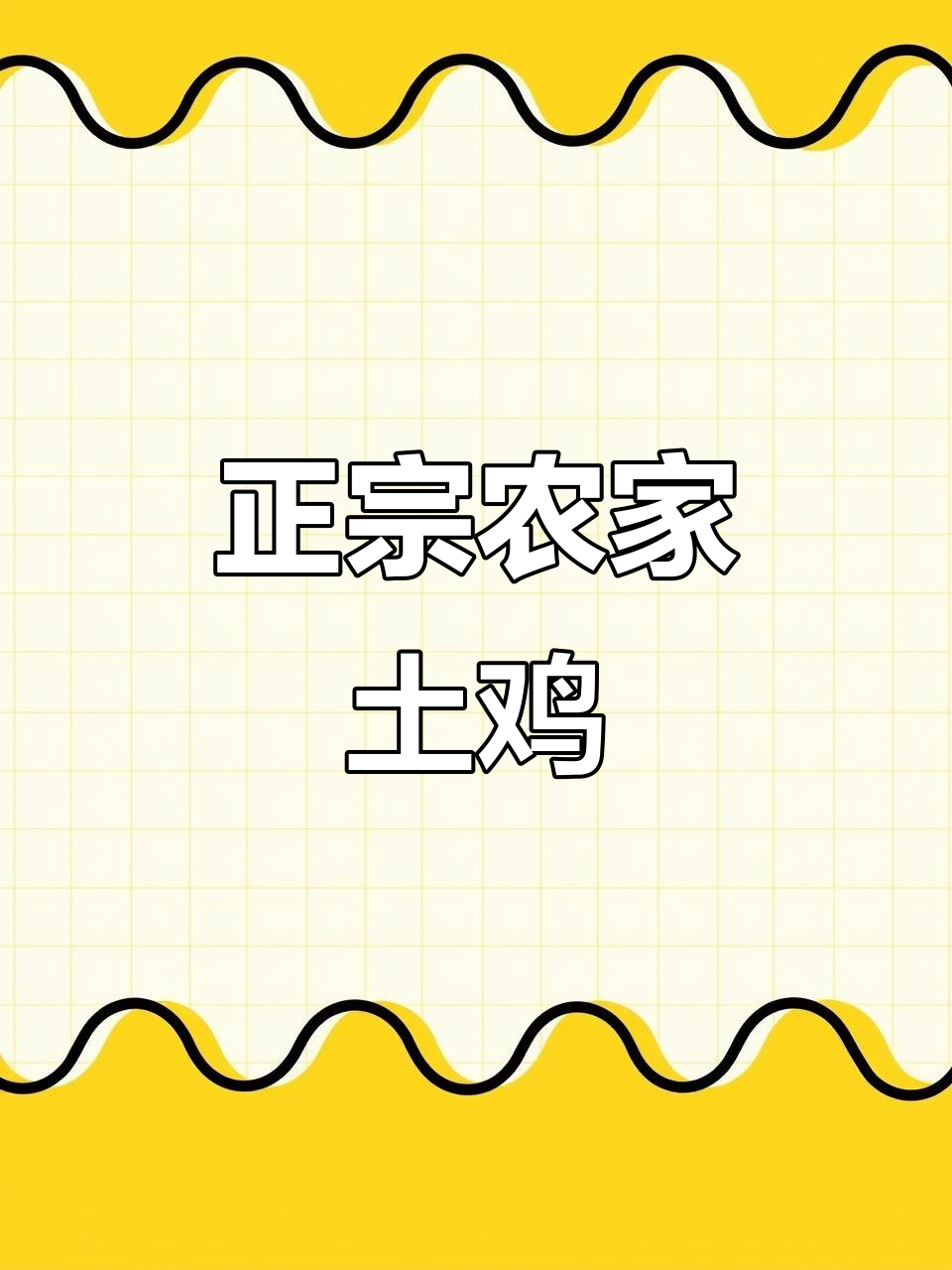 农村散养土鸡,公鸡中的战斗机!