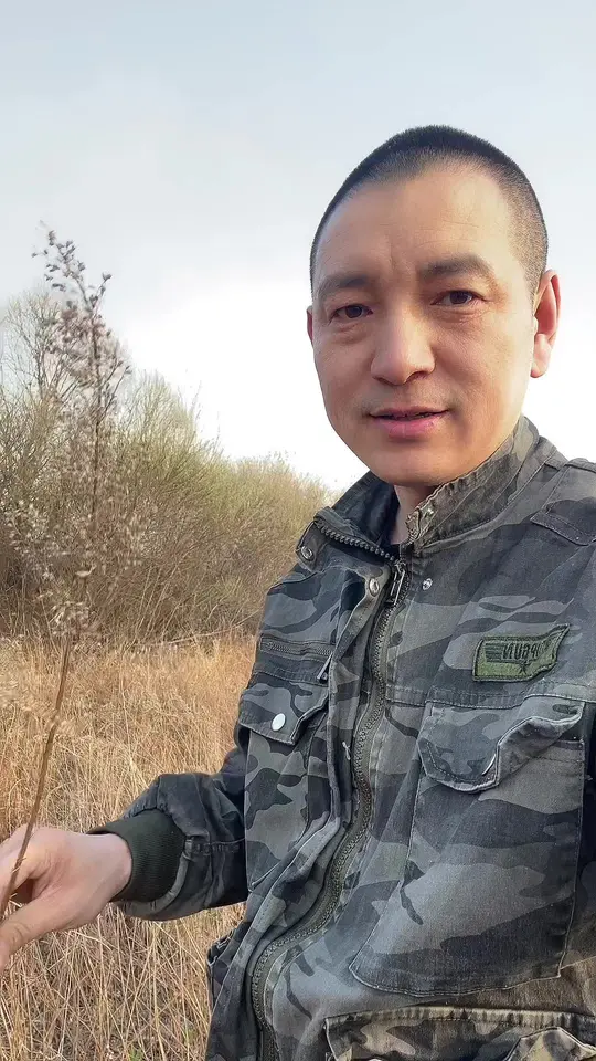 黑龙江讷河原生态山野菜即将上市，又到吃野菜的季节！